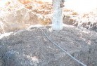 Sugarloaf Creektree-transplanting-4.jpg; ?>